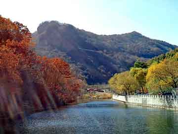 澳门天天免费精准大全，两生花祭